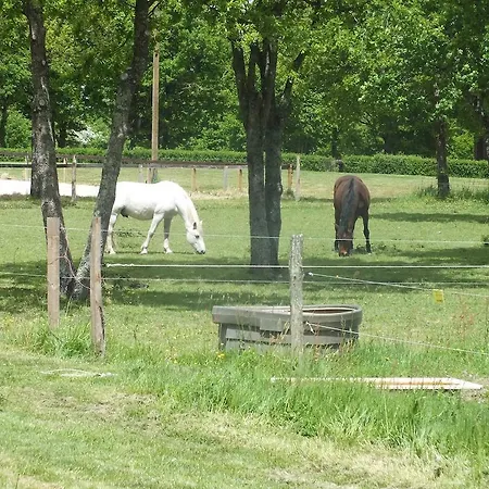 بيت للعطل Chais De L'epinay *