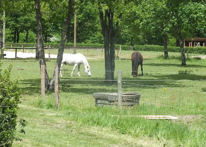 Vakantiehuis Chais De L'epinay *